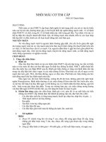 Phác đồ điều trị BV Chợ Rẫy, Tim mạch can thiệp