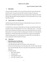 Phác đồ điều trị BV Chợ Rẫy, Viêm gan