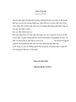 PHÂN TÍCH BÁO CÁO KẾT QUẢ KINH DOANH VÀ BẢNG CÂN ĐỐI KẾ TOÁN CÔNG TY CP DUNG DICH KHOAN VA HOA PHẨM DẦU KHÍ