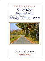 A short course in canon EOS 450d photography 