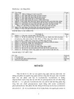 Nghiên Cứu Các Điều Kiện Công Nghệ Tối Ưu Cho Quá Trình Thu Hồi Beta - Cyclodextrin