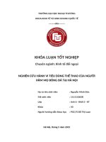 Nghiên Cứu Hành Vi Tiêu Dùng Thể Thao Của Người Hâm Mộ Bóng Đá Tại Hà Nội