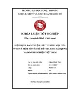 Tạo Thuận Lợi Thương Mại Của WTO Và Một Số Vấn Đề Đặt Ra Cho Hải Quan Và Doanh Nghiệp Việt Nam