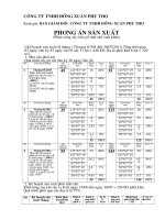 Mẫu đề án và hướng đi để sản xuất kinh doanh hiệu quả công ty sản suất