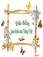 Đặc điểm loại hình tiếng việt 11