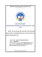 Tại sao nói giai cấp công nhân việt nam là giai cấp duy nhất có đủ điều kiện lãnh đạo cách mạng việt nam những năm đầu thế kỷ XX 