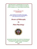 Physiological responses to saline irrigation in two summer mungbean vigna radiata (l ) wilczek genotypes