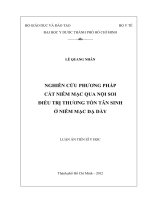 Nghiên cứu phương pháp cắt niêm mạc qua nội soi điều trị thương tổn tân sinh ở niêm mạc dạ dày