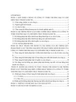 Báo cáo thực tập công ty TNHH thương mại và chế biến thực phẩm xanh TH