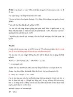 Bài tập mẫu tài chính doanh nghiệp B