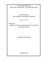 Nghiên cứu khả năng tiếp nhận gen gus của một số giống bưởi việt nam