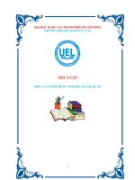 tiểu luận hợp đồng thương mại quốc tế