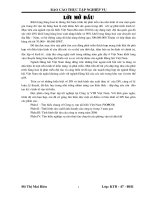 báo cáo thực tập tốt nghiệp tại công ty VTB việt nam 