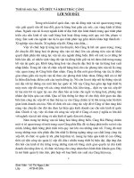 Tổ chức và cơ giới hoá xếp dỡ hàng thép cuộn tại cảng hải phòng