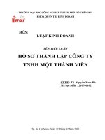tiểu luận hồ sơ thành lập công ty TNHH MTV