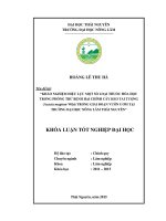 Khảo nghiệm hiệu lực một số loại thuốc hóa học trong phòng trừ bệnh hại chính cây keo tai tượng trong giai đoạn vườn ươm tại vườn ươm trường đại học nông lâm thái nguyên 