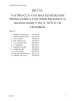 Tiểu Luận Văn Hóa kinh doanh về vai trò của văn hóa kinh doanh trong chiến lược kinh doanh của doanh nghiệp thực tiễn tại TH TRUMILK