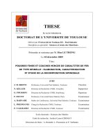 Poudres fines et couches minces de cobaltites de fer de type spinelle elaboration, caracterisation et etude de la decomposition spinodale  these en vue de lobtention du doctorat de luniversite de toulouse