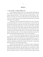 Xác lập mô hình tổ chức hoạt hoạt động kiểm toán độc lập ở việt nam để nâng cao chất lượng và hiệu quả hoạt động trong xu thế hội nhập 