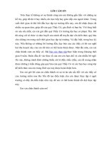 báo cáo thực tập sư phạm mầm non 