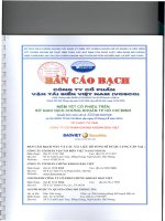bản cáo bạch công ty cổ phần vận tải biển việt nam 