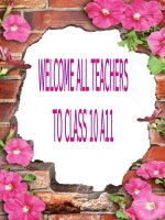 Giáo án bài 14 lớp 10 (reading) 