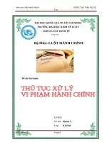 THỦ TỤC xử LÝ VI PHẠM HÀNH CHÍNH