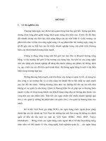 Quản lý thương hiệu ngân hàng thuwong mại việt nam nghiên cứu trường hợp vietcombank 