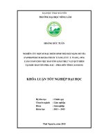 Nghiên cứu một số đặc điểm sinh thái hài mạng đỏ tía làm cơ sở cho việc bảo tồn loài thực vật quý hiếm tại khu bảo tồn phia oắc   phia đén tỉnh cao bằng 
