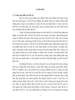 Đánh giá tác động của chương trình giảm thiểu rủi ro thuốc bảo vệ thực vật thông qua chỉ số tác động môi trường trong sản xuất rau tại đặng xá   gia lâm   hà nội