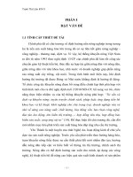 Thực trạng hoạt động khuyến nông theo định hướng thị trường tại trạm khuyến nông huyện yên thành  tỉnh nghệ an