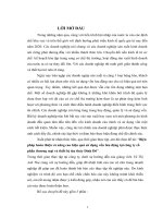 Biện pháp hoàn thiện và nâng cao hiệu quả sử dụng vốn lưu động tại công ty cổ phần thương mại và thiết bị tàu thủy đình đô 