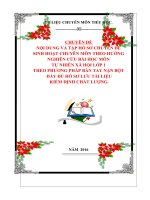 CHUYÊN ĐỀ NỘI DUNG SINH HOẠT CHUYÊN MÔN THEO HƯỚNG  NGHIÊN CỨU BÀI HỌC MÔN TỰ NHIÊN XÃ HỘI LỚP 1 THEO PHƯƠNG PHÁP BÀN TAY NẶN BỘT  ĐẦY ĐỦ HỒ SƠ LƯU TÀI LIỆU  KIỂM ĐỊNH CHẤT LƯỢNG.