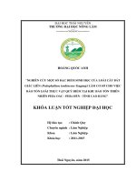 Nghiên cứu một số đặc điểm sinh học của loài cây bát giác liên làm cơ sở cho việc bảo tồn loài thực vật quý hiếm tại khu bảo tồn thiên nhiên phia oắc   phia đén   tỉnh cao bằng 