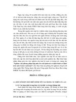 Nghiên cứu phương pháp hấp phụ lên sắt hydroxit vô định hình cố định trên nền Canxi cacbonat