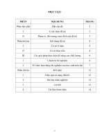 sáng kiến kinh nghiệm: Hướng dẫn học sinh thực hiện có hiệu quả các thí nghiệm trong giờ học Vật lí cấp THCS