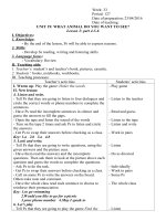 Giáo án tiếng Anh lớp 4 tuần 33