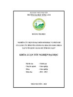 Nghiên cứu một số đặc điểm sinh học và phân bố của loài cây bình vôi tại vườn quốc gia ba bể tỉnh bắc kạn 