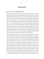 Hoàn thiện hệ thống kế toán thu chi ngân sách nhà nước ở việt nam 