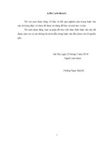 Giải pháp giảm thiểu rủi ro khi tham gia thị trường nông sản cho các hộ nông dân thị trấn như quỳnh, huyện văn lâm, tỉnh hưng yên