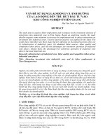 VẤN ĐỀ SỬ DỤNG LAO ĐỘNG VÀ ẢNH HƯỞNG CỦA LAO ĐỘNG ĐẾN THU HÚT ĐẦU TƯ VÀO KHU CÔNG NGHIỆP TIỀN GIANG