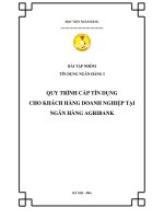 QUY TRÌNH CẤP TÍN DỤNG KHDN AGRIBANK