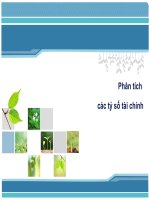 Phân tích các tỷ số tài chính
