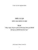 thuc trang cong tac quan ly doi tuong tham gia bhxh bat buoc tai bhxh tinh ha nam