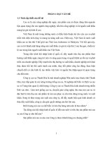 Những giải pháp chủ yếu nhằm đẩy mạnh tiêu thụ sản phẩm mủ cao su của công ty cao su thanh hóa trong hội nhập kinh tế quốc tế