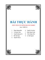 Bài thực hành :phân tich tai chinh doanh nghiep  (TỔNG CÔNG TY CỔ PHẦN XÂY LẮP DẦU KHÍ VIỆT NAM)