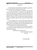 Nghiên cứu năng lực cạnh tranh một số sản phẩm chủ yếu của Công ty TNHH Tân Thế Kỷ