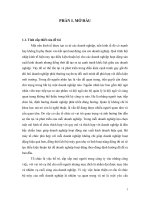 Thực trạng và một số giải pháp hoàn thiện cơ cấu tổ chức bộ máy quản lý tại Công ty Cổ phần Tài Nguyên, Cầu Giấy, Hà Nội