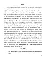 áp dung khoa học kĩ thuật vào công tác chỉ đạo tuyến