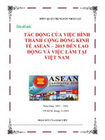 QTNNL tác ĐỘNG của VIỆC HÌNH THÀNH CỘNG ĐỒNG KINH tế ASEAN – 2015 đến LAO ĐỘNG và VIỆC làm tại VIỆT NAM